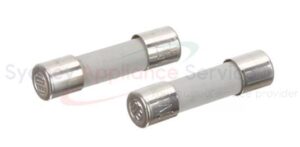 BOSCH FUSE 10A (2 PACK) - 00029469
