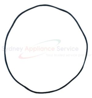 HAIER DRYER SEAL DOOR INNER - H0180300026