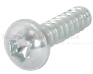 BOSCH SCREW - 10023024