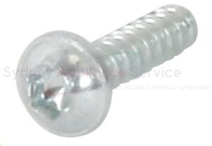 BOSCH WASHING MACHINE SCREW - 10010614