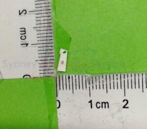SAMSUNG C-CER;CHIP - 2203-006842
